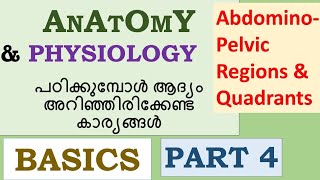 Abdominopelvic regions and quadrants explained in malayalamNursesMotive [upl. by Trotter]