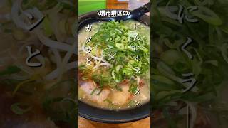 【堺市グルメ】にんにくを愛する全ての人に捧ぐラーメン✨ 堺市グルメ 堺市ランチ 堺市ラーメン ラーメン 飯テロ グルメ [upl. by Woodley823]