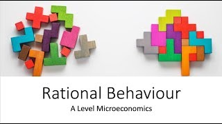 Rational Behaviour  A Level and IB Economics [upl. by Adnertal]