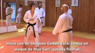 Bunkais de Ken Shin Kan Karate Do I [upl. by Rosenquist441]