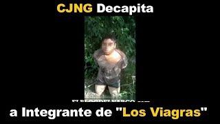 CJNG Video  Dec4pit4n a Integrante de quotLos Viagrasquot 2018 [upl. by Castora630]