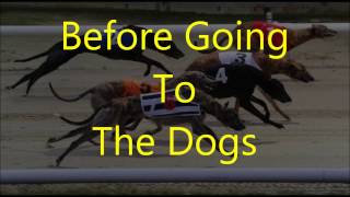 A Guide To Greyhound Racing Betting Part 1 Before Going To The Dogs [upl. by Enilada]