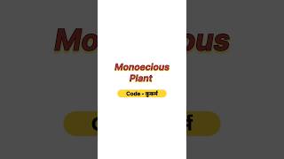 Monoecious plant neet neet2025 botany biology aiimsBotanyNeet [upl. by Nnov]