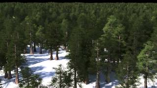 Houdini 130 Speedtree Instancing 50000 Trees 10 billion polys [upl. by Anerres564]