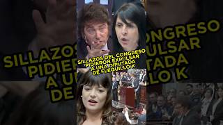 SILLAZOS EN EL CONGRESO PIDIERON EXPULSAR A DIPUTADA FLEQUILLO K argentina casta milei [upl. by Warila831]