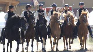 Icelandic Horses of Tolt Away and Fitjamyri Farms of BC [upl. by Denise]