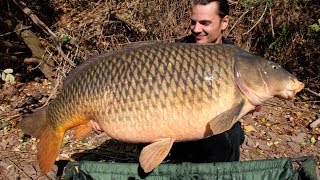 American carp record USA at 54lb 8oz 247 kg  Raphaël Biagini [upl. by Einafets]