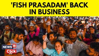 Fish Prasadam Hyderabad 2023  Hyderabads Fish ‘Prasadam’ Returns After Threeyear Gap  News18 [upl. by Aerdnua]