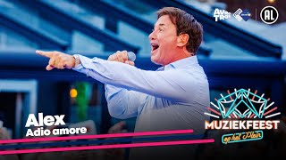 Alex  Adio amore • Muziekfeest op het Plein 2023  Sterren NL [upl. by Minnie234]