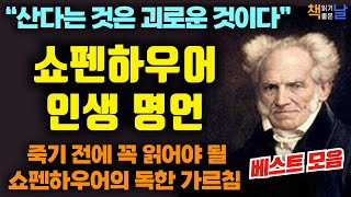 쇼펜하우어를 빼고 인생을 논하지 마라 산다는 것은 괴로운 것이다 쇼펜하우어 인생 명언 베스트 모음 오디오북 책읽어주는여자 korean audiobook [upl. by Akehsal]