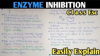 Enzyme Inhibition  Competitive And Non Competitive Inhibition  Class 11 Biology [upl. by Robinette471]