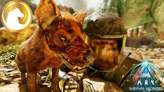 Ark Survival Ascended Hyaenodon Takımı I S1B15 [upl. by Innaig431]