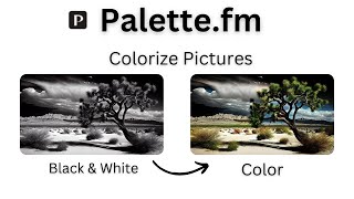 Instantly Add Color to Photos with Palettefms AI  Quick Demo [upl. by Kieryt418]