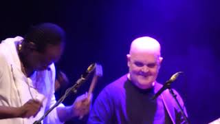 Afro Celt Sound System ‘Honey Bee’ The Brighton Dome Brighton 201118 [upl. by Rorrys179]