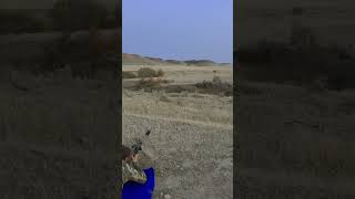 600 Yards  Tikka T3X CTR 65CM [upl. by Noirad]