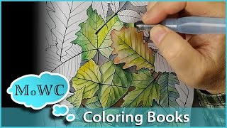 Coloring with Watercolor in Adult Coloring Books [upl. by Htederem314]