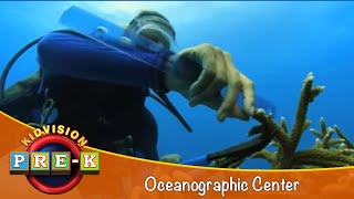 Oceanographic Center  Virtual Field Trip  KidVision PreK [upl. by Cardon785]