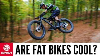 Are Fat Bikes Cool [upl. by Ahsenid]