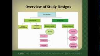 Cohort Studies A Brief Overview [upl. by Gwenni539]