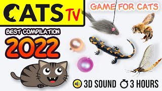 GAME FOR CATS  BEST 2023 Cats TV compilation 🦎🪩🐭 60fps 3 HOURS [upl. by Harrad]