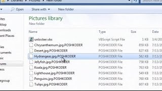 How do I remove POSHKODER virus and get encrypted files decrypted Restore [upl. by Noiek]