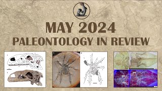 May 2024 Paleontology in Review [upl. by Renrut186]