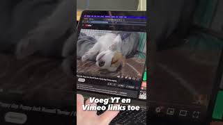 Gynzy Hack  Zet een video afspeellijst klaar [upl. by Eimoan135]