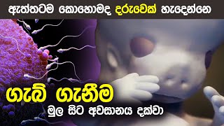 දරුවෙක් බිහිවන ආකාරය පැහැදිලිව😨 How a wonder is born   Pregnancy sinhala  Animation [upl. by Lael]