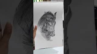 horsesketch horsedrawing horseart horse equestrian riding ai barn stable horsebackriding [upl. by Mikihisa]