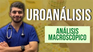 UROANÁLISIS  Conceptos básicos y análisis macroscópico Parte 1 [upl. by Scheider]