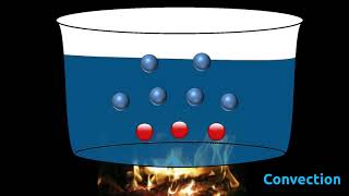 Comparison Between Conduction Convection and Radiation  Heat  Diploma Physics 1 [upl. by Acimak]