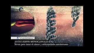 Anticuerpos monoclonales [upl. by Lucius]