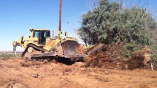 Bulldozer clearing trees and brush 1 [upl. by Onailil260]