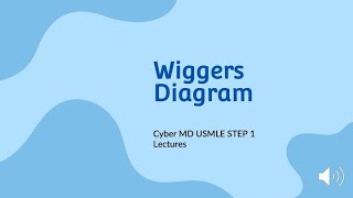 Wiggers Diagram [upl. by Dilahk386]