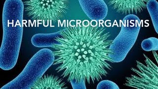 EXPLAINATION OF HARMFUL MICROORGANISMS  PATHOGENS DISEASE CAUSING MICROBES IN HUMANS PLANTS [upl. by Elnore]