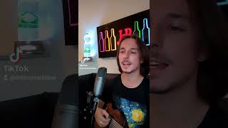 Jai la voix de Vianney  Dumbo vianneymusique cover guitare vianney sosie [upl. by Ynnel885]