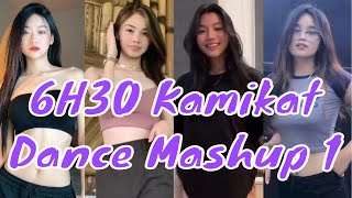 TikTok 6H30 Kamikat Dance Mashup 1 [upl. by Aennil]