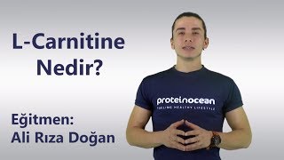 LCarnitine Karnitin Nedir Antreman amp Spor İçin Nasıl Kullanılır Vücutta Nasıl Yapılır [upl. by Fraze647]