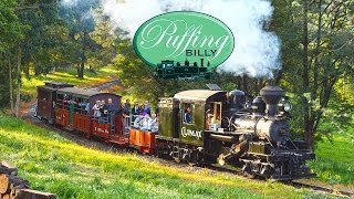 Climax Geared Steam Locomotive  Puffing Billy Australia [upl. by Ludlow617]