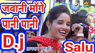 Meri Chadti Jawani Mange Pani Pani👈🎵 Dj Remix Salu Yadav 👌👈🔊 [upl. by Talbert]