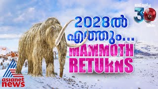 അവർ വരുന്നുവംശനാശം വന്ന മാമോത്തുകൾ 2028ഓടെ തിരികെ ഭൂമിയിലേക്ക്  Mammoth [upl. by Buffum]