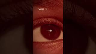 My brown eye 👁️ [upl. by Schreib]