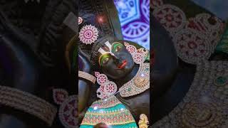 mohini ekadashi मोहिनी एकादशी की शुभकामनाएं मोहिनीएकादशी mohiniekadashi 19may2024 [upl. by Onaled]