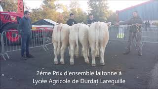 concours de bovins reproducteurs charolais à Montluçon 2018 [upl. by Juanne941]