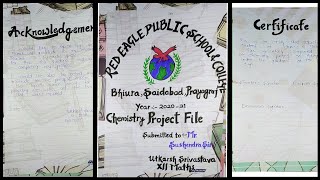 Chemistry project file on Adsorption for class 12th  Pdf in description  cbse  Become unique☑️ [upl. by Arikehs729]