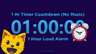 1 Hour Timer Countdown No Music  1 Hour Loud Alarm [upl. by Knarf]