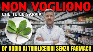 5 Segreti NATURALI per ABBASSARE i Trigliceridi Dì ADDIO ai Farmaci [upl. by Goraud212]