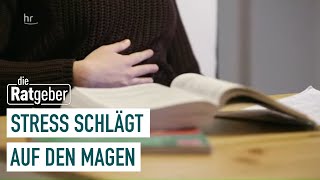 Was tun wenn Stress den Magen quält  Die Ratgeber [upl. by Zinnes]