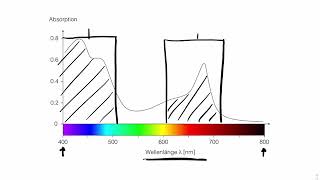 Absorptionsspektrum der Chloroplasten  oder wieso sind Blätter grün [upl. by Gizela]