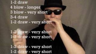 Blues harmonica lessons Im a Man amp Mannish Boy riffs  how to play for beginners [upl. by Aicened]